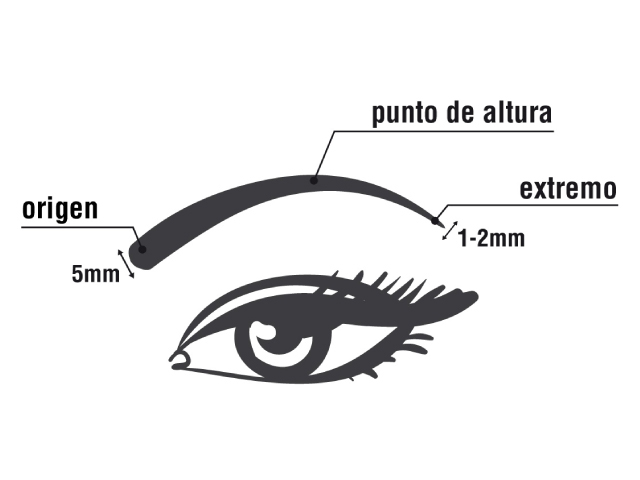 partes de la ceja